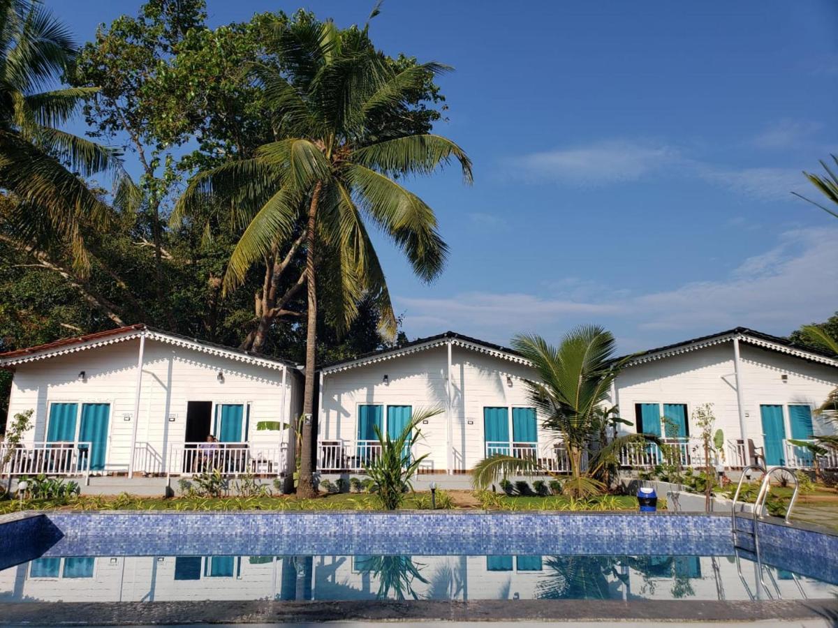 White Truffle Resort, Arambol Eksteriør bilde