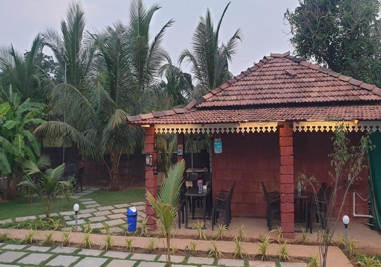 White Truffle Resort, Arambol Eksteriør bilde