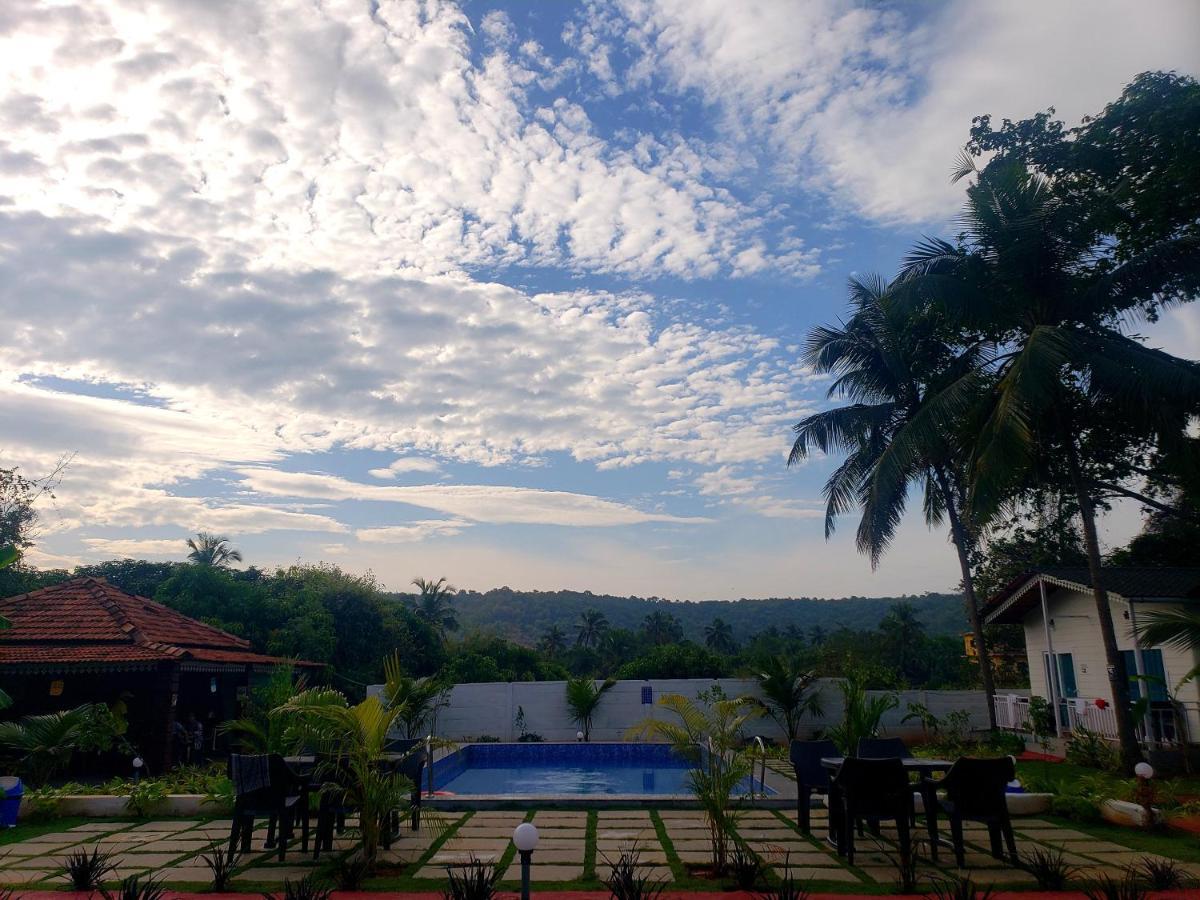 White Truffle Resort, Arambol Eksteriør bilde