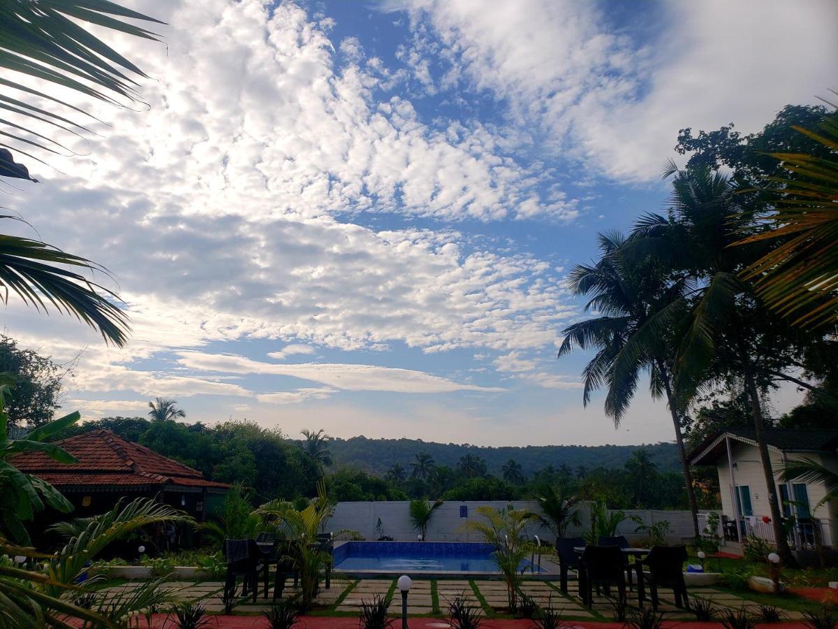 White Truffle Resort, Arambol Eksteriør bilde