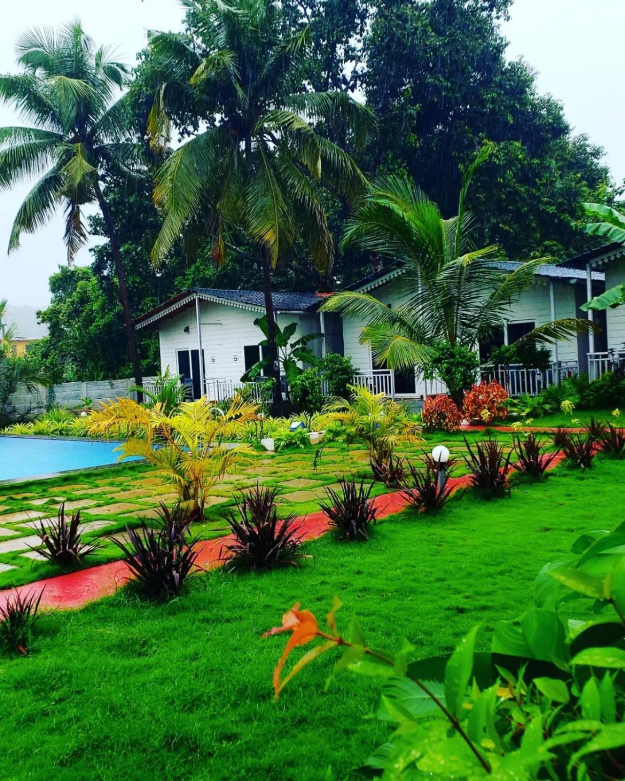 White Truffle Resort, Arambol Eksteriør bilde