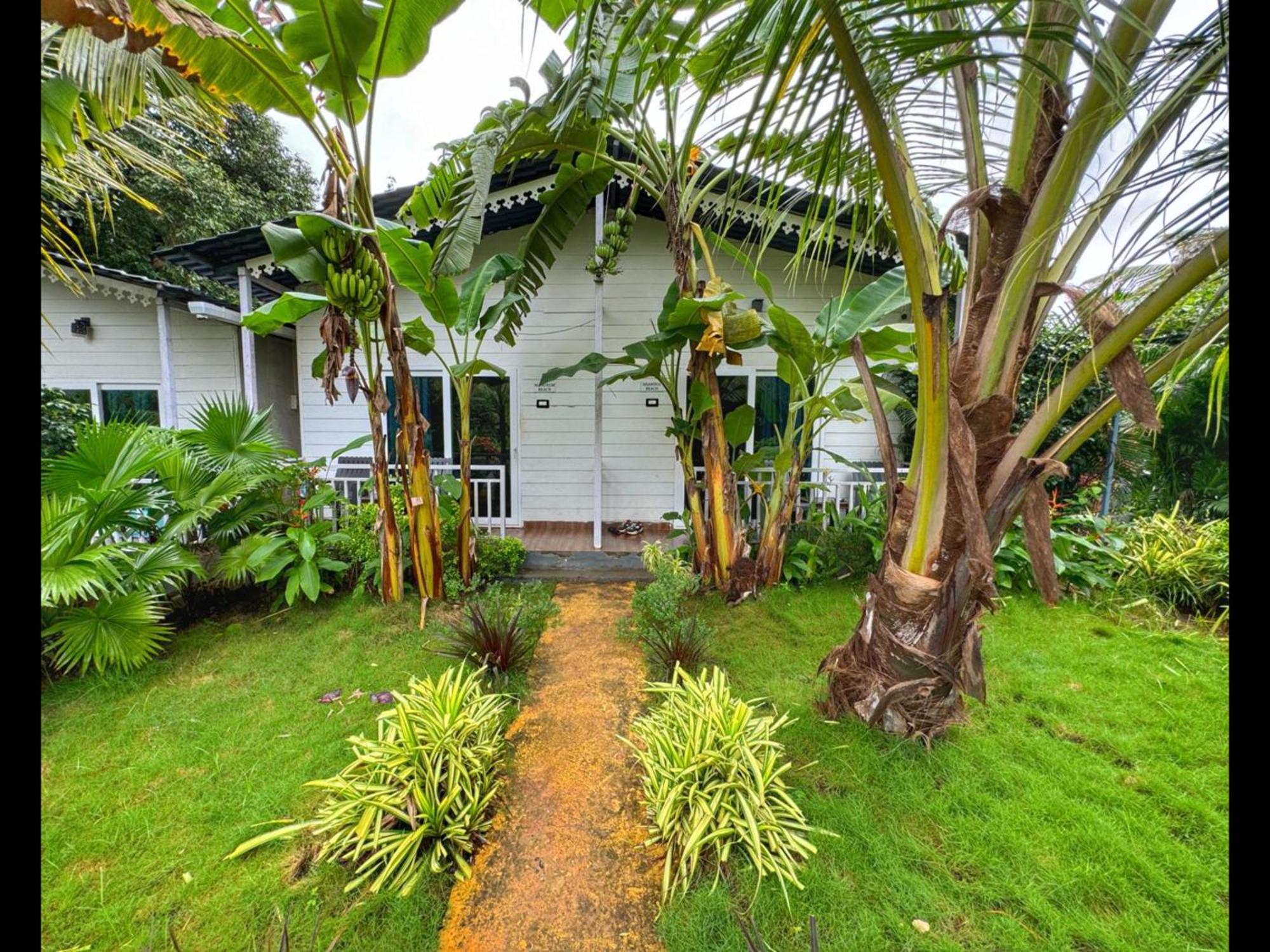 White Truffle Resort, Arambol Eksteriør bilde