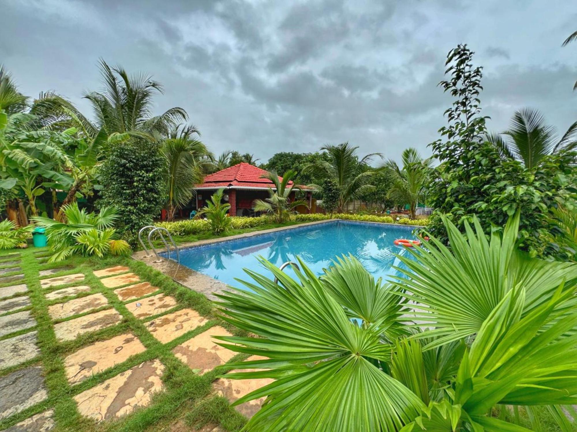 White Truffle Resort, Arambol Eksteriør bilde