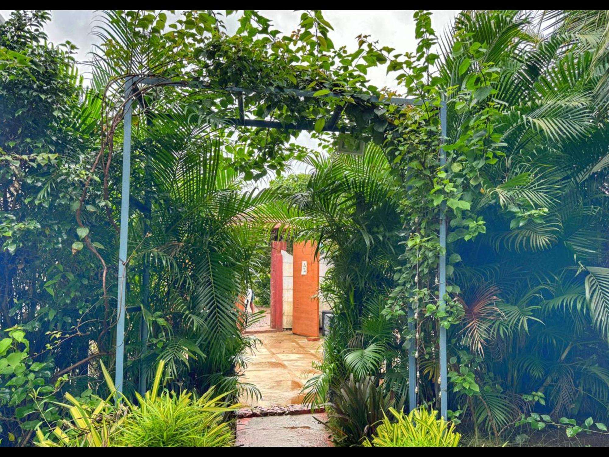White Truffle Resort, Arambol Eksteriør bilde