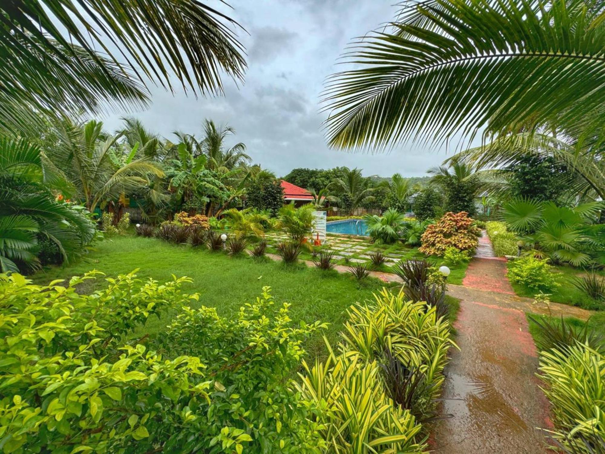 White Truffle Resort, Arambol Eksteriør bilde