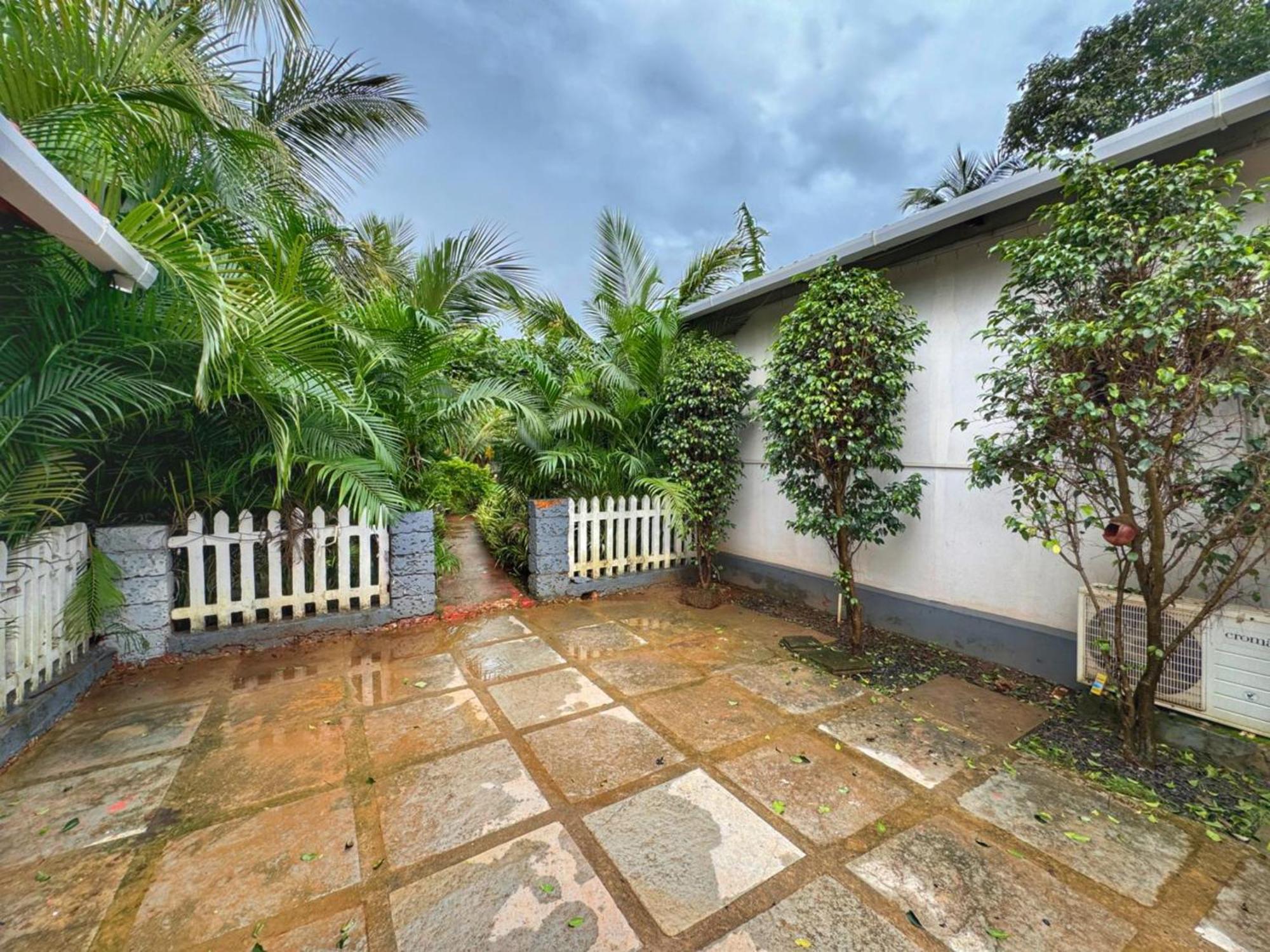 White Truffle Resort, Arambol Eksteriør bilde
