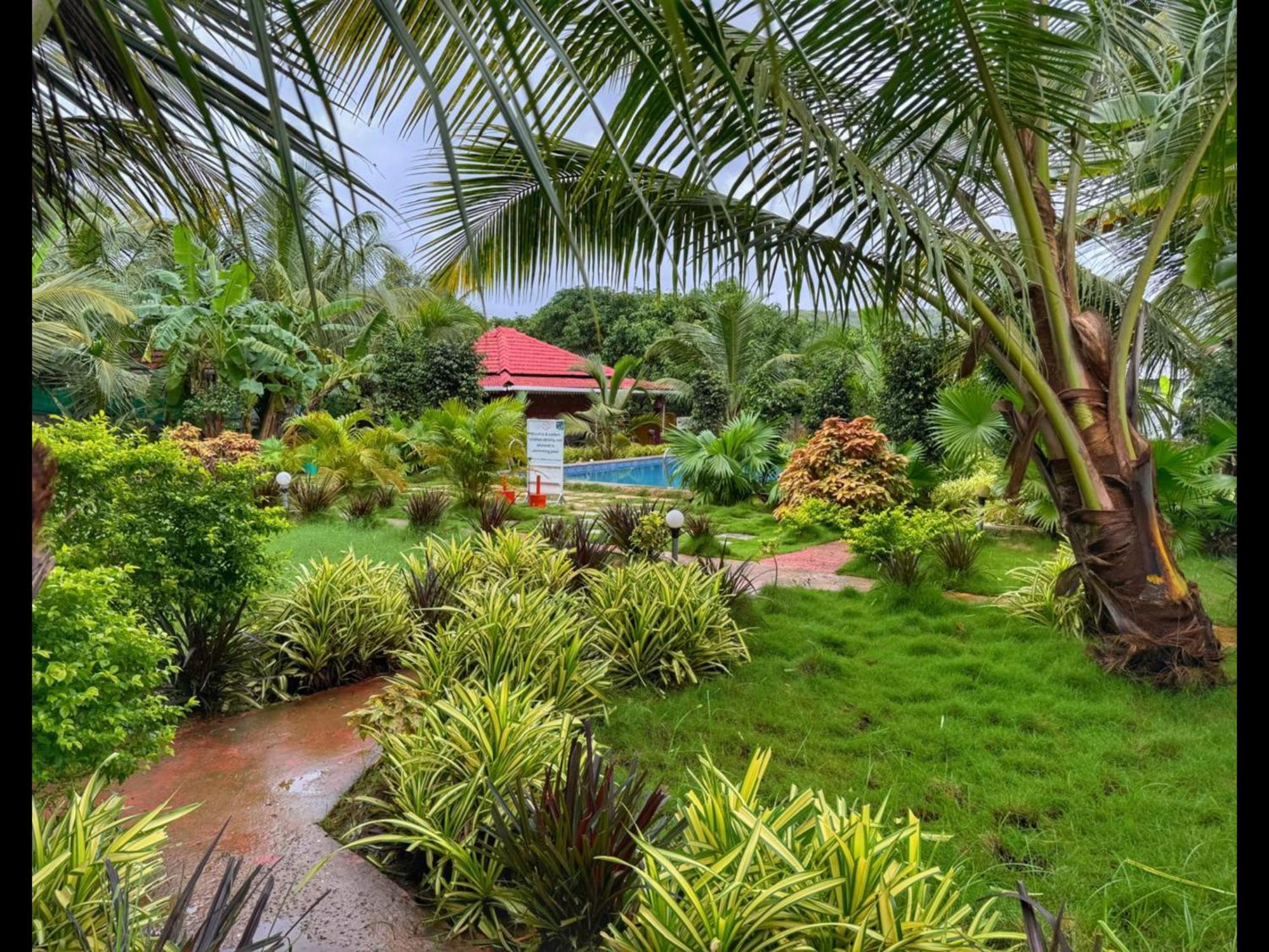 White Truffle Resort, Arambol Eksteriør bilde