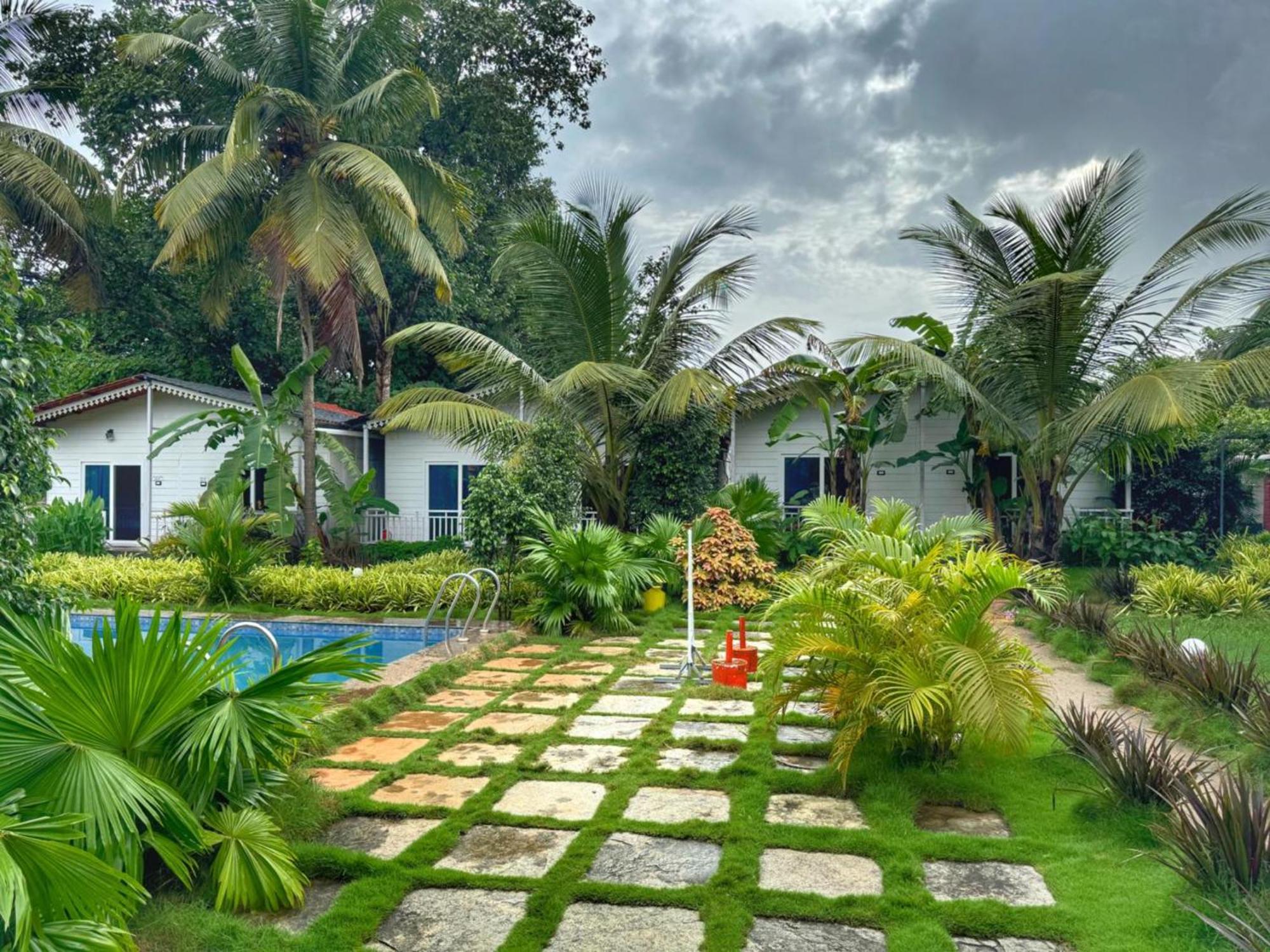 White Truffle Resort, Arambol Eksteriør bilde